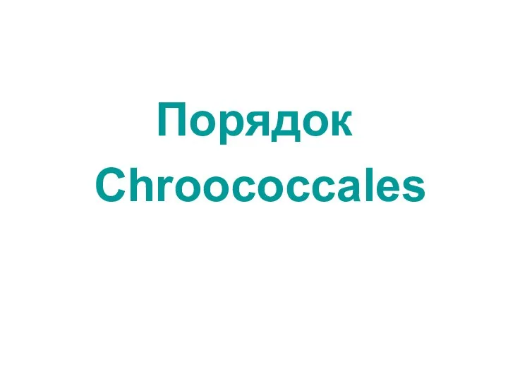 Порядок Chroococcales