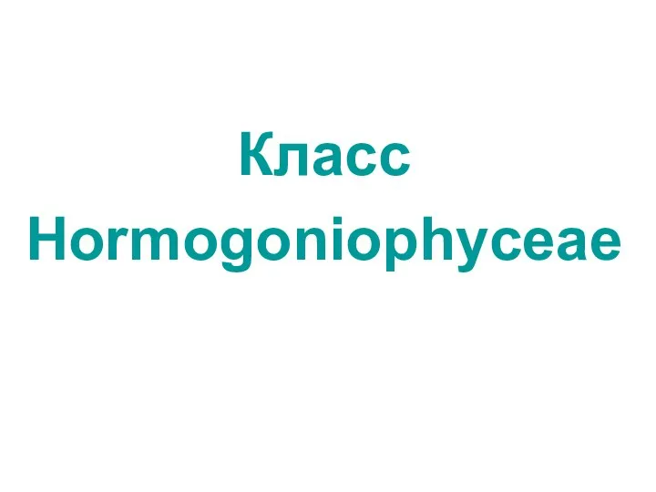 Класс Hormogoniophyceae