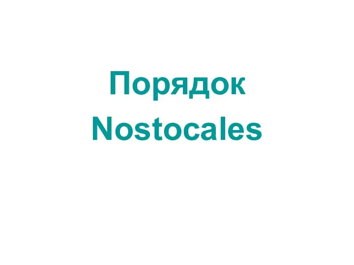 Порядок Nostocales