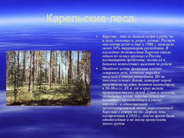 Карельские леса. Карелия - это не только озёра и реки, но и