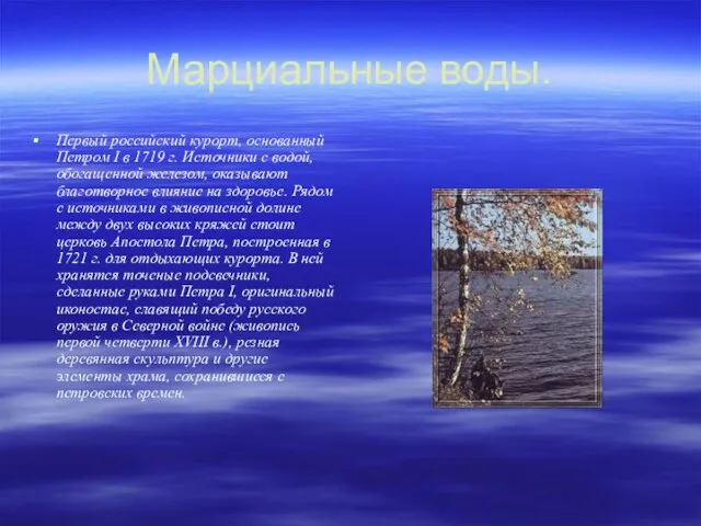Марциальные воды. Первый российский курорт, основанный Петром I в 1719 г. Источники