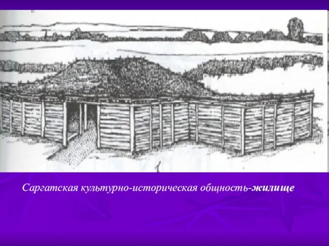 Саргатская культурно-историческая общность-жилище