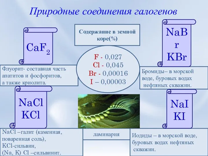 Природные соединения галогенов Флуорит- составная часть апатитов и фосфоритов, а также криолита.