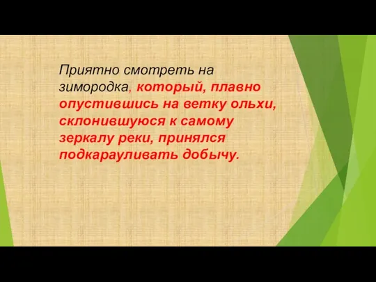 Приятно смотреть на зимородка, который, плавно опустившись на ветку ольхи, склонившуюся к