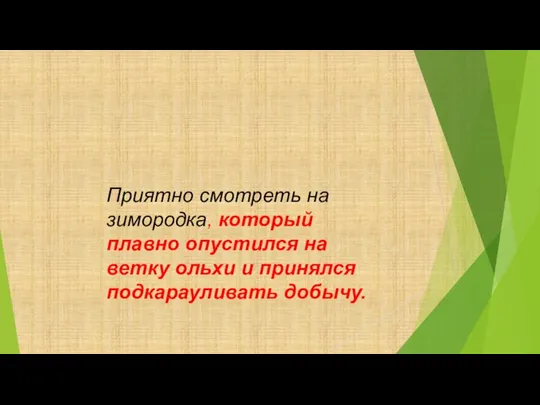 Приятно смотреть на зимородка, который плавно опустился на ветку ольхи и принялся подкарауливать добычу.