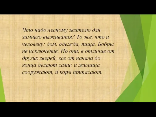 Что надо лесному жителю для зимнего выживания? То же, что и человеку: