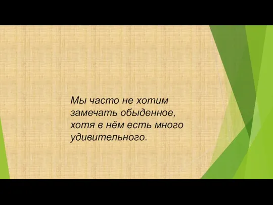 Мы часто не хотим замечать обыденное, хотя в нём есть много удивительного.