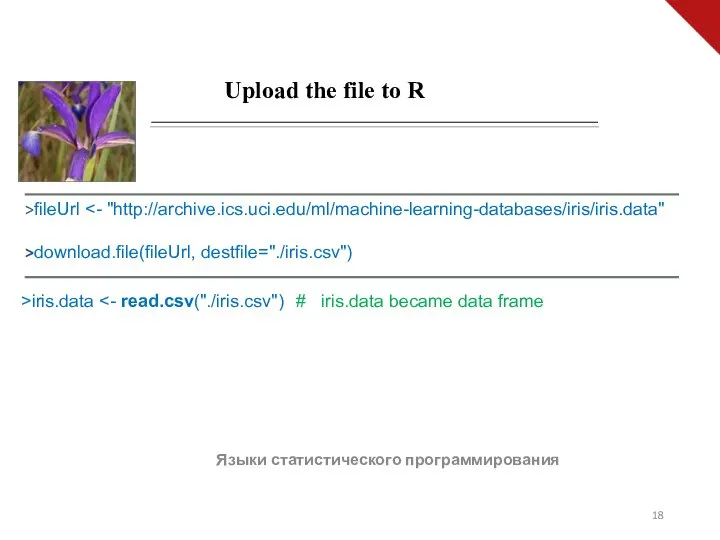 Языки статистического программирования Upload the file to R >fileUrl >download.file(fileUrl, destfile="./iris.csv") iris.data