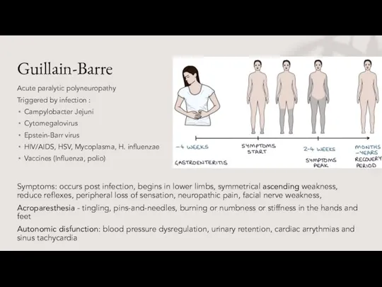 Guillain-Barre Acute paralytic polyneuropathy Triggered by infection : Campylobacter Jejuni Cytomegalovirus Epstein-Barr