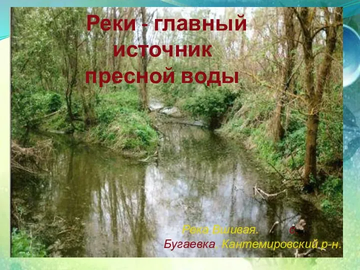 Реки - главный источник пресной воды Река Вшивая. с. Бугаевка, Кантемировский р-н.