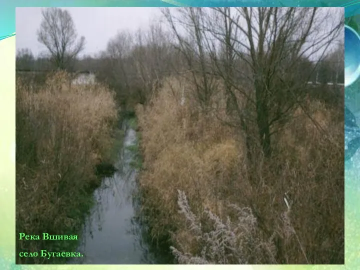 Река Вшивая село Бугаевка.