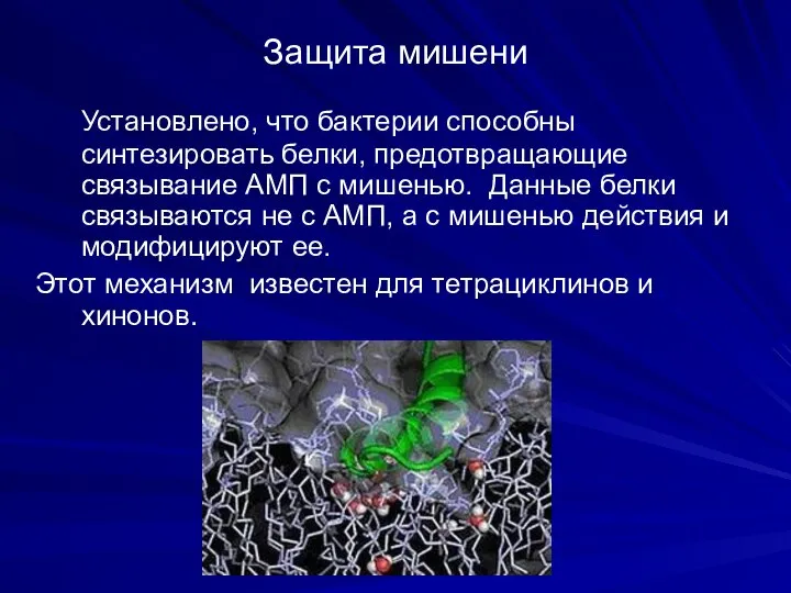 Защита мишени Установлено, что бактерии способны синтезировать белки, предотвращающие связывание АМП с