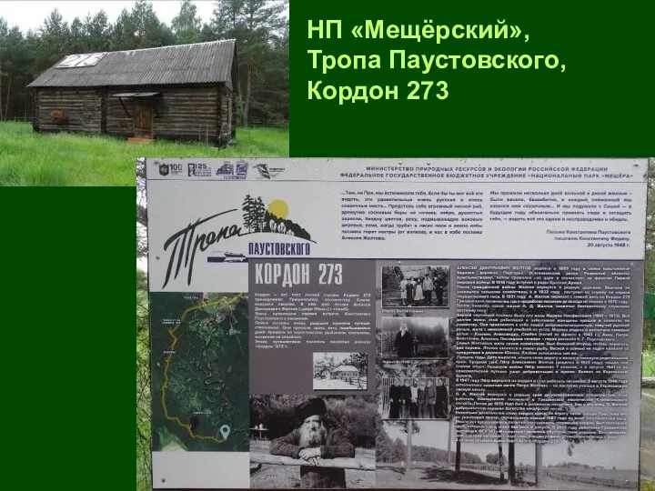 НП «Мещёрский», Тропа Паустовского, Кордон 273