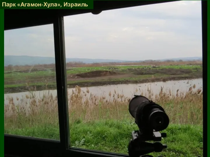 Парк «Агамон-Хула», Израиль