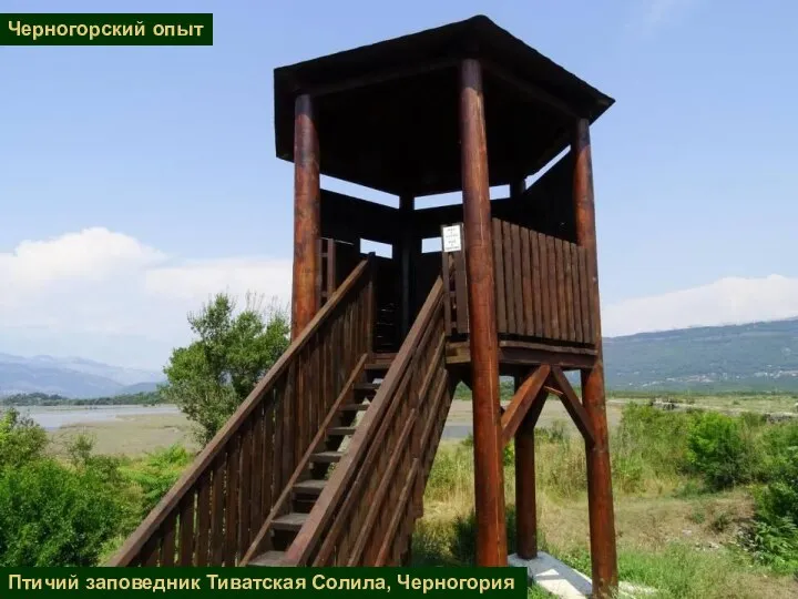 Птичий заповедник Тиватская Солила, Черногория Черногорский опыт