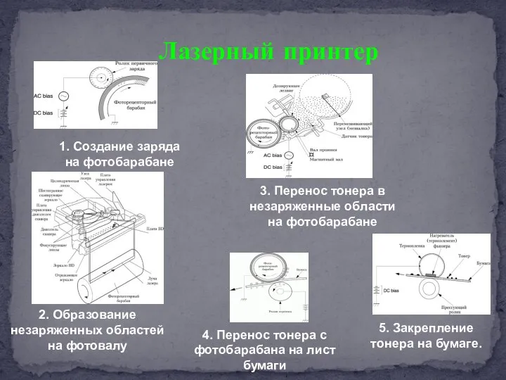 Лазерный принтер 1. Создание заряда на фотобарабане 2. Образование незаряженных областей на