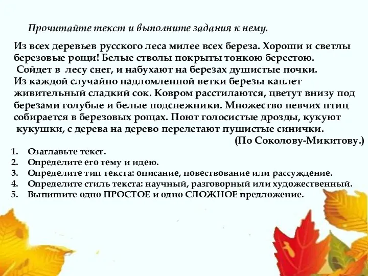 Прочитайте текст и выполните задания к нему. Из всех деревьев русского леса