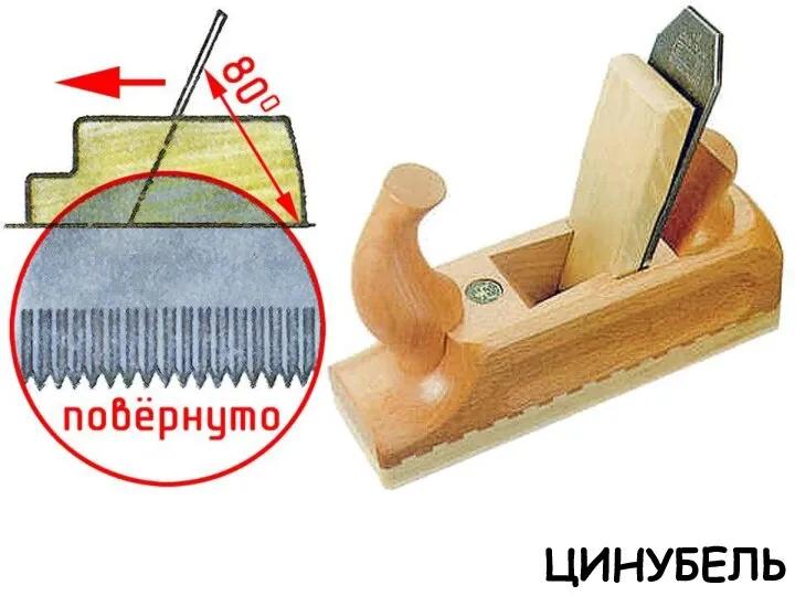 ЦИНУБЕЛЬ