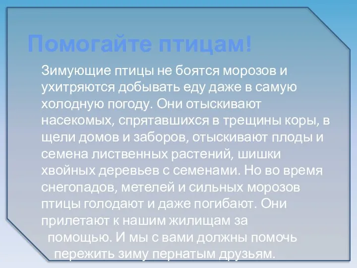 Зимующие птицы не боятся морозов и ухитряются добывать еду даже в самую