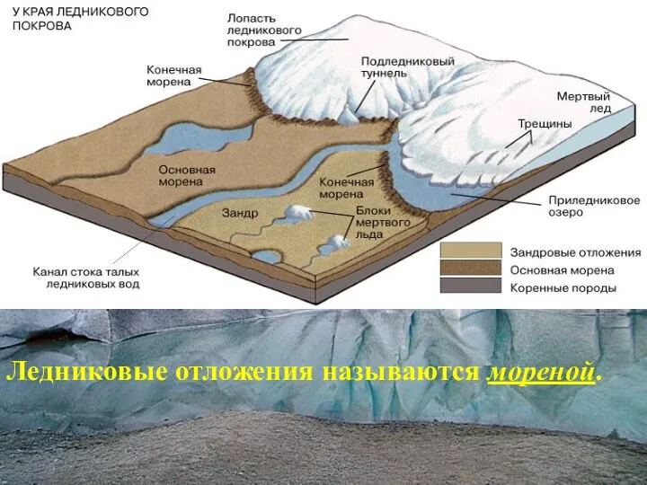 Ледниковые отложения называются мореной.