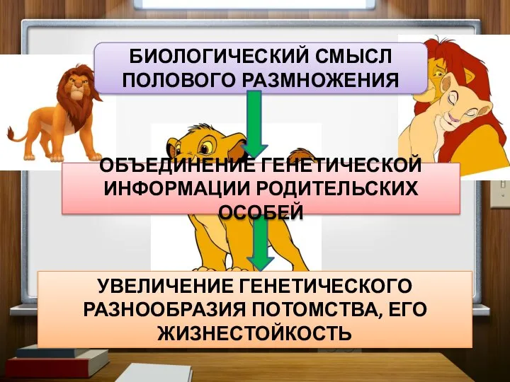 БИОЛОГИЧЕСКИЙ СМЫСЛ ПОЛОВОГО РАЗМНОЖЕНИЯ УВЕЛИЧЕНИЕ ГЕНЕТИЧЕСКОГО РАЗНООБРАЗИЯ ПОТОМСТВА, ЕГО ЖИЗНЕСТОЙКОСТЬ ОБЪЕДИНЕНИЕ ГЕНЕТИЧЕСКОЙ ИНФОРМАЦИИ РОДИТЕЛЬСКИХ ОСОБЕЙ