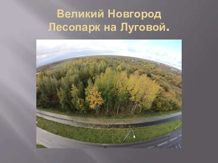 Великий Новгород Лесопарк на Луговой.