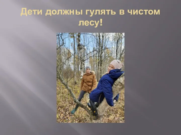 Дети должны гулять в чистом лесу!