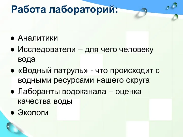 Работа лабораторий: Аналитики Исследователи – для чего человеку вода «Водный патруль» -