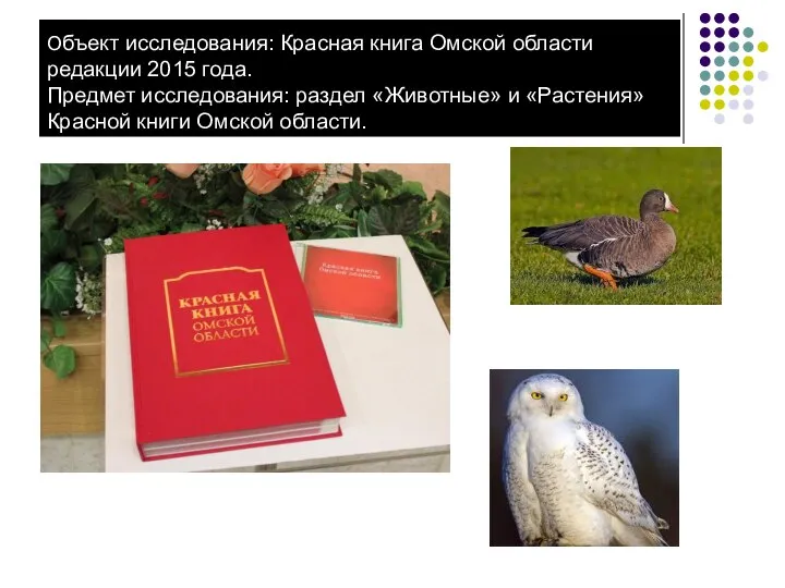Объект исследования: Красная книга Омской области редакции 2015 года. Предмет исследования: раздел