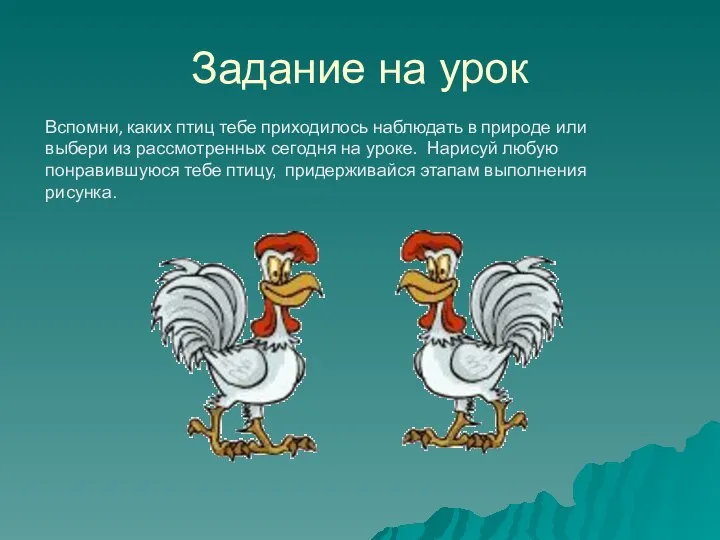 Задание на урок Вспомни, каких птиц тебе приходилось наблюдать в природе или