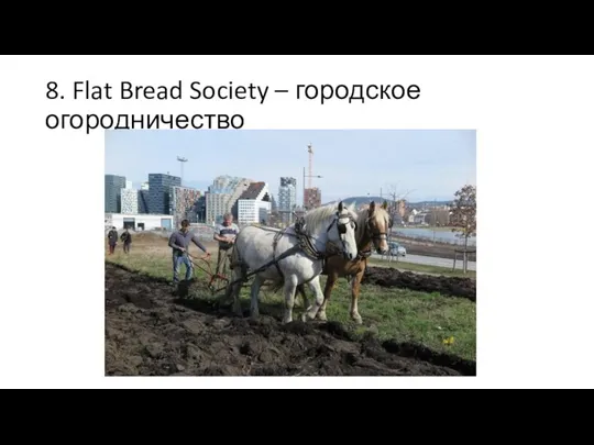 8. Flat Bread Society – городское огородничество