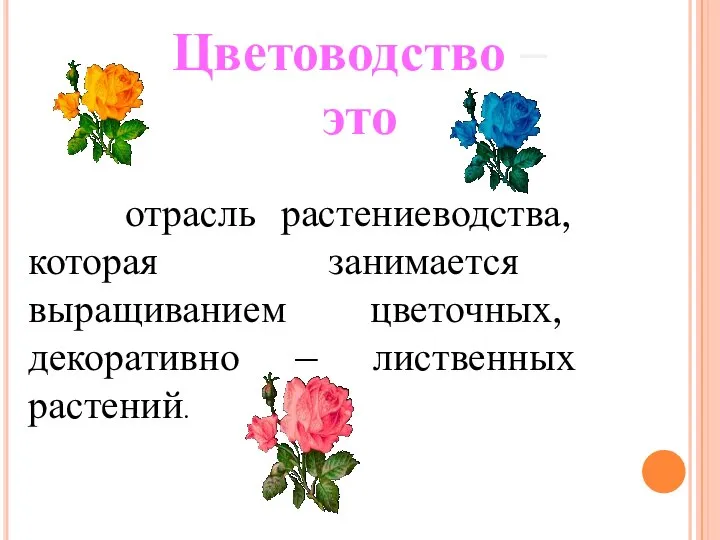 отрасль растениеводства, которая занимается выращиванием цветочных, декоративно – лиственных растений. Цветоводство – это