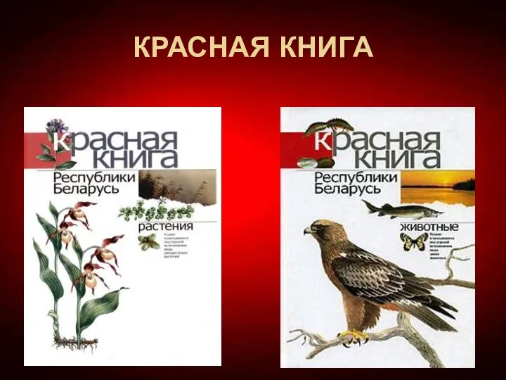 КРАСНАЯ КНИГА