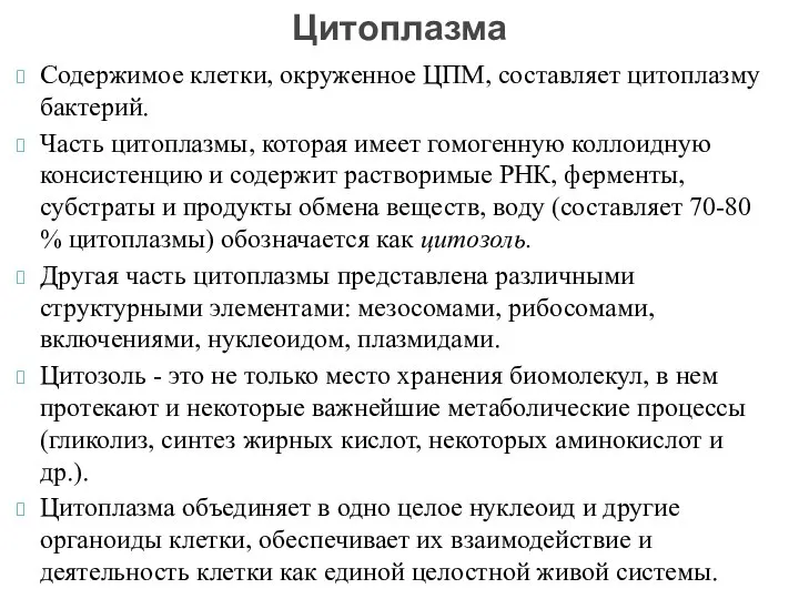 Содержимое клетки, окруженное ЦПМ, составляет цитоплазму бактерий. Часть цитоплазмы, которая имеет гомогенную