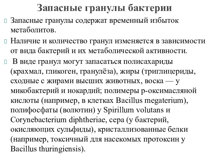 Запасные гранулы содержат временный избыток метаболитов. Наличие и количество гранул изменяется в