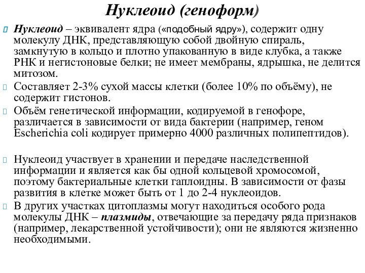 Нуклеоид – эквивалент ядра («подобный ядру»), содержит одну молекулу ДНК, представляющую собой