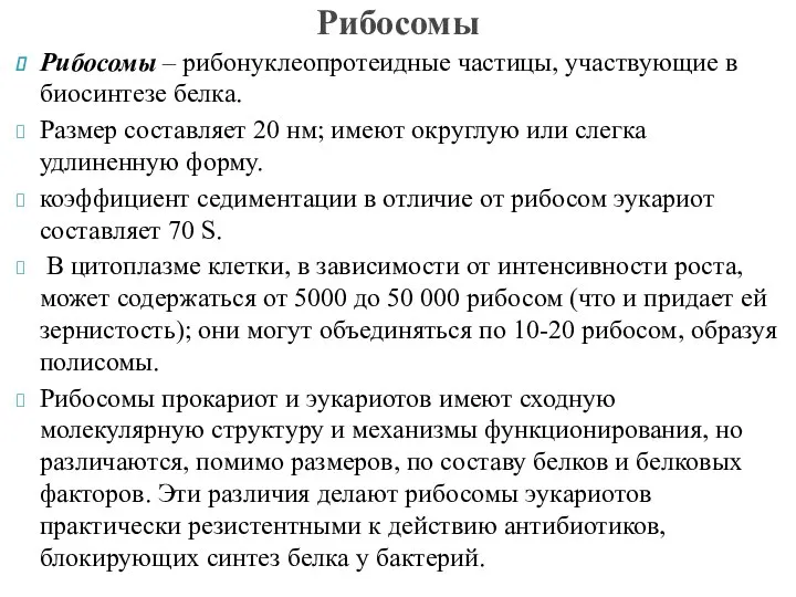 Рибосомы – рибонуклеопротеидные частицы, участвующие в биосинтезе белка. Размер составляет 20 нм;