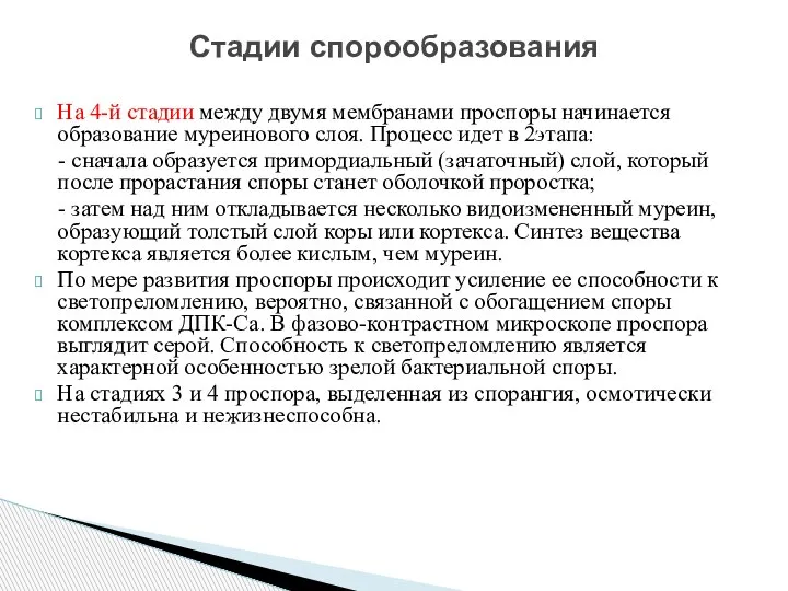 На 4-й стадии между двумя мембранами проспоры начинается образование муреинового слоя. Процесс