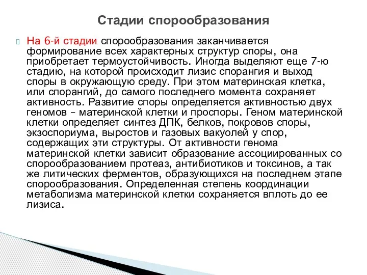 На 6-й стадии спорообразования заканчивается формирование всех характерных структур споры, она приобретает