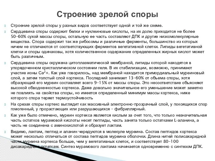 Строение зрелой споры у разных видов соответствует одной и той же схеме.