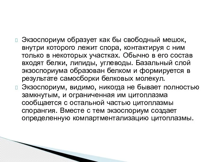 Экзоспориум образует как бы свободный мешок, внутри которого лежит спора, контактируя с