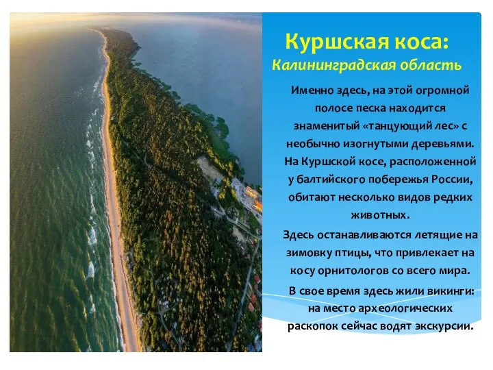 Куршская коса: Калининградская область Именно здесь, на этой огромной полосе песка находится