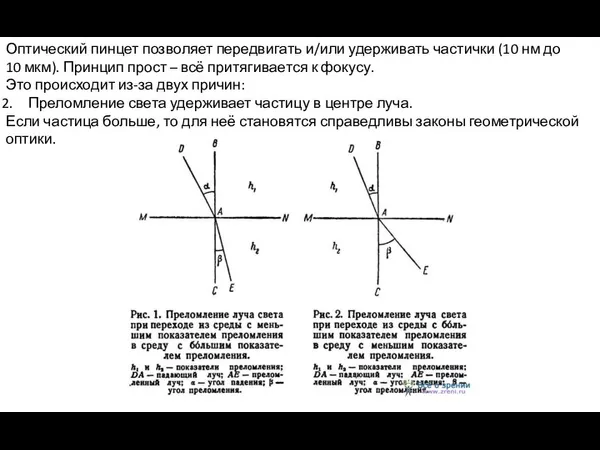 Оптический пинцет позволяет передвигать и/или удерживать частички (10 нм до 10 мкм).