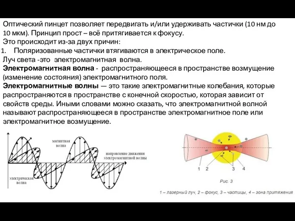 Оптический пинцет позволяет передвигать и/или удерживать частички (10 нм до 10 мкм).