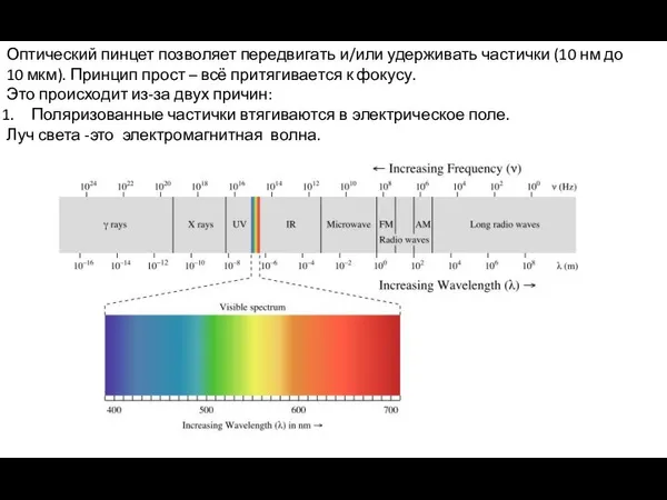 Оптический пинцет позволяет передвигать и/или удерживать частички (10 нм до 10 мкм).