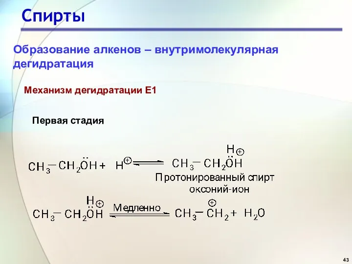 Спирты Механизм дегидратации Е1 Первая стадия Образование алкенов – внутримолекулярная дегидратация