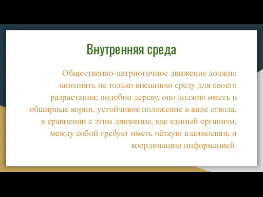 Внутренняя среда Общественно-патриотичное движение должно заполнять не только внешнюю среду для своего