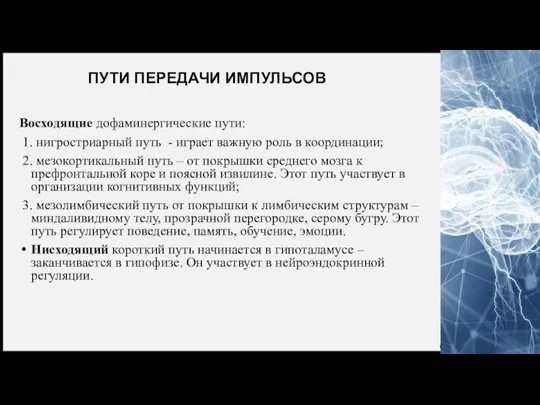 ПУТИ ПЕРЕДАЧИ ИМПУЛЬСОВ Восходящие дофаминергические пути: 1. нигростриарный путь - играет важную