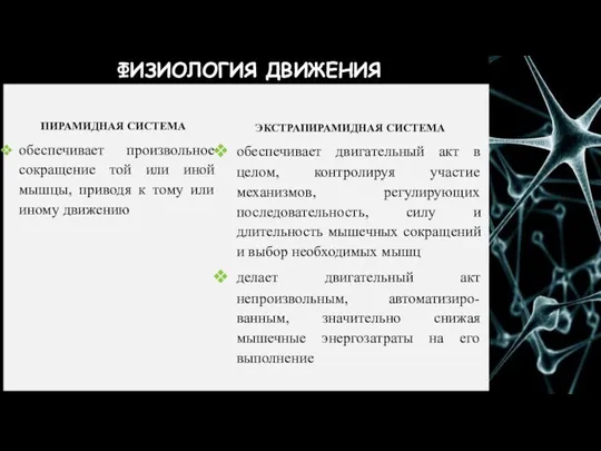 ФИЗИОЛОГИЯ ДВИЖЕНИЯ ПИРАМИДНАЯ СИСТЕМА обеспечивает произвольное сокращение той или иной мышцы, приводя