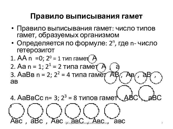 Правило выписывания гамет Правило выписывания гамет: число типов гамет, образуемых организмом Определяется
